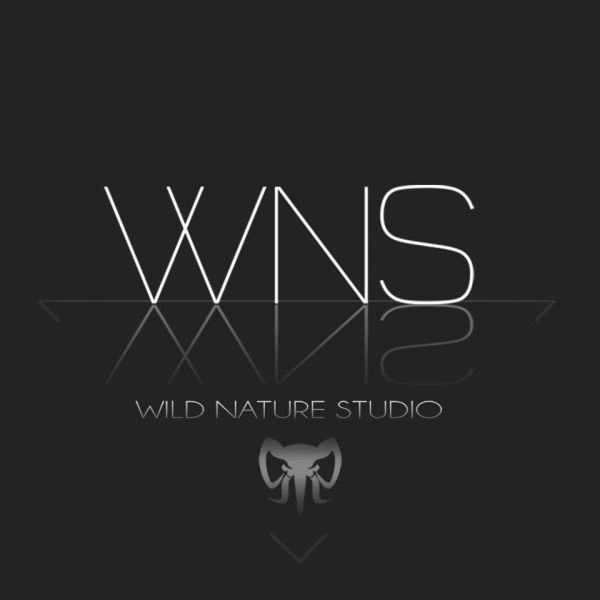 Wild Nature Studio