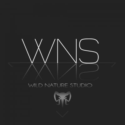 Wild Nature Studio